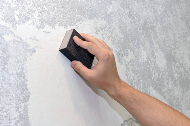 Best Mold Remediation for Healthcare Facilities  in Racine, WI