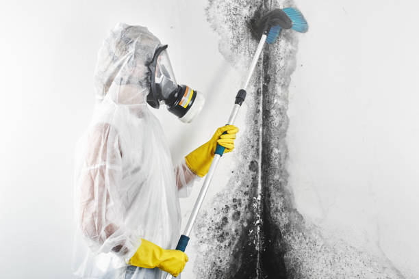 Best Asbestos and Lead Testing During Mold Inspection  in Racine, WI