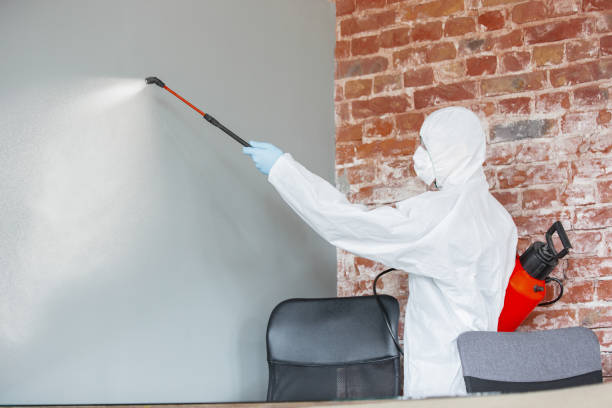 Best Air Quality Testing for Mold Spores  in Racine, WI