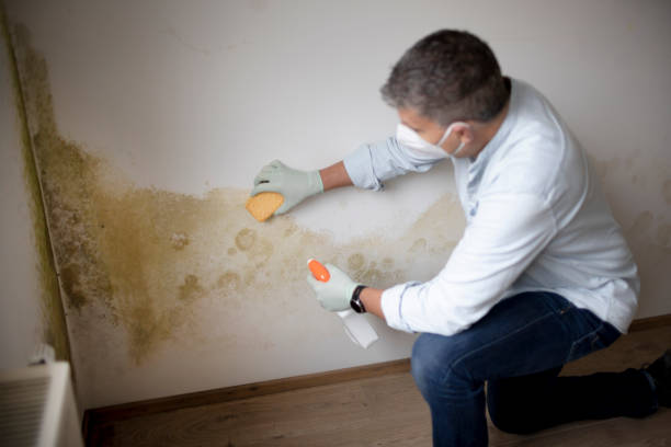 Best Biohazard Mold Removal  in Racine, WI